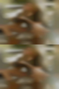 Kristyhairston191, horny